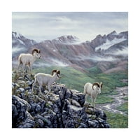 Zaštitni znak likovna umjetnost 'Dall Sheep at Denali' platno umjetnost Jeffa Tifta