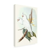 Zaštitni znak likovna umjetnost 'pastelne papige ii' platnena umjetnost Johna Gould -a