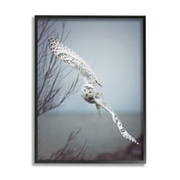 _ Veličanstvena snježna sova s rasponom krila fotografija divljih životinja fotografija s crnim okvirom umjetnički ispis na zidu,