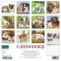 Willow Creek Press Mačke i psi zidni kalendar