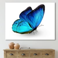 Izbliza živog plavog leptira na bijelom slikarskom platnu umjetnički tisak