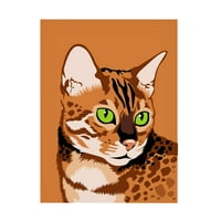 Debbie Grey 'Bengal Cat' Canvas Art